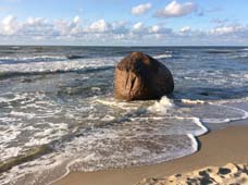 шаржист на море камень Светлогорск